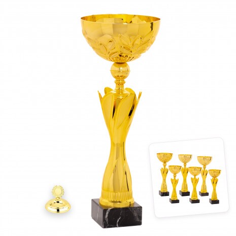 Cupa standard Krishna F