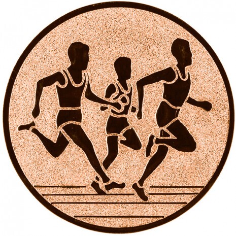 Alergare (transmisie) Inserție bronz 25 mm