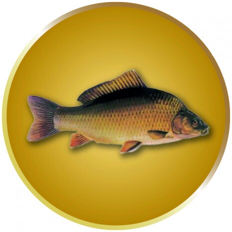 Crap Inserție argint 25 mm