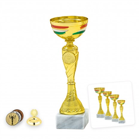 Cupa națională maghiară Frigyes