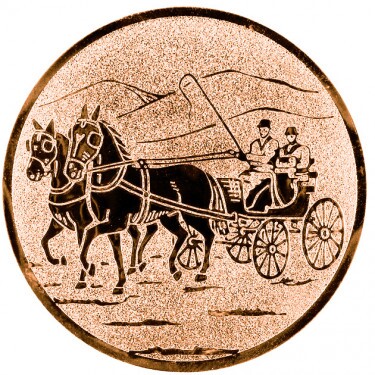 Călăreț (conducere) Inserție bronz 25 mm