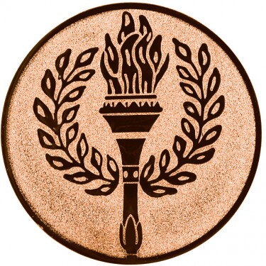 Torță Inserție bronz 25 mm