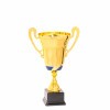 Cupă premium Igor H