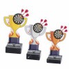 Cupa de darts premiu acrilic