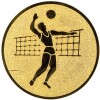 Volei (bărbați) Inserție bronz 25 mm