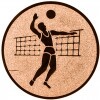 Volei (bărbați) Inserție bronz 25 mm
