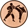 Karate Inserție bronz 50 mm