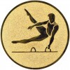 Gimnastica (barbati) Inserție aur 25 mm