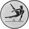 Gimnastica (barbati) Inserție aur 25 mm