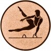 Gimnastica (barbati) Inserție aur 25 mm